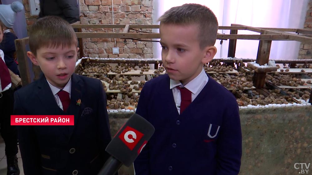 Быстро размножается, легко усваивается и крайне полезна. Почему разведение улиток – это гениальная бизнес-идея для белорусов?-25