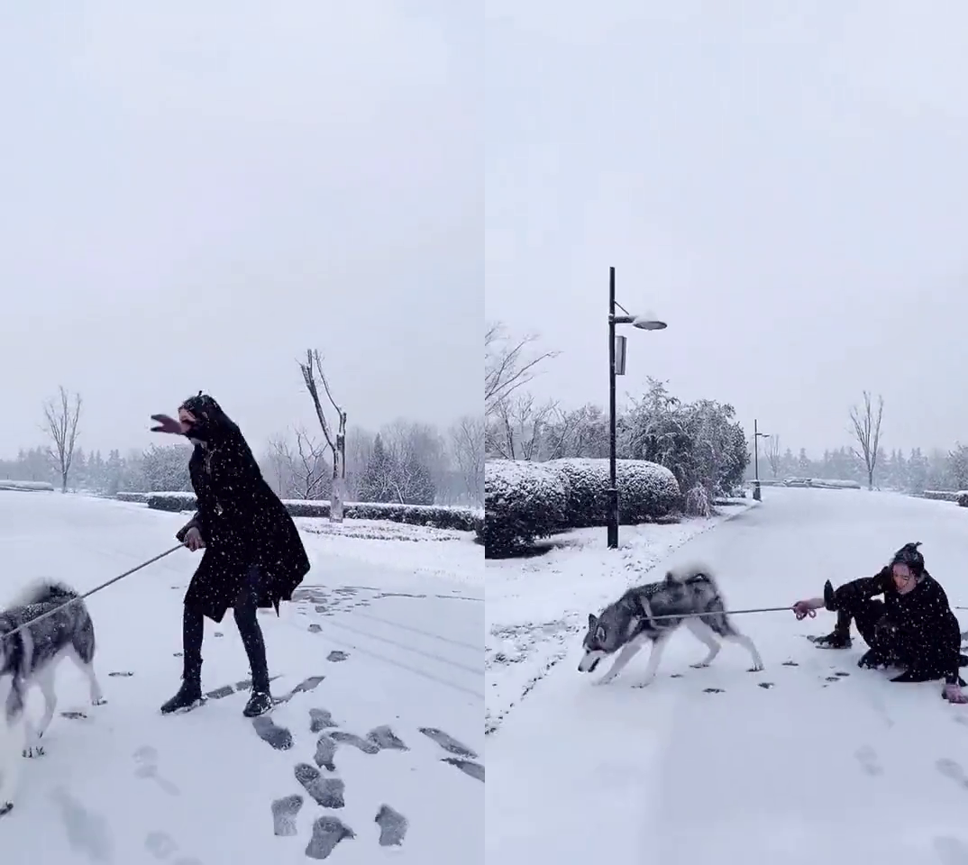 Девушка хотела показать красивую походку, но всех рассмешила. Вредный пёс испортил видео -7