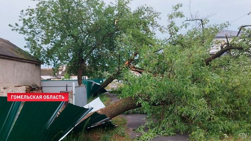 4 человека стали жертвами урагана в Беларуси-13
