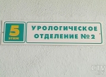 В Беларуси каждый третий больной в урологии – с камнями в почках. Почему? И как избежать мочекаменной болезни?