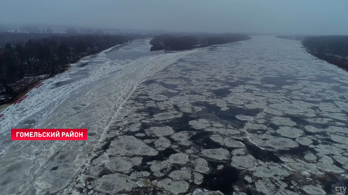 Уровень воды в реках Беларуси растёт каждый день из-за осадков-7