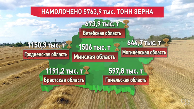 Белорусские ученые Мечеслав Степуро и Владимир Устинов: можно ли вырастить арбуз и виноград в Беларуси?