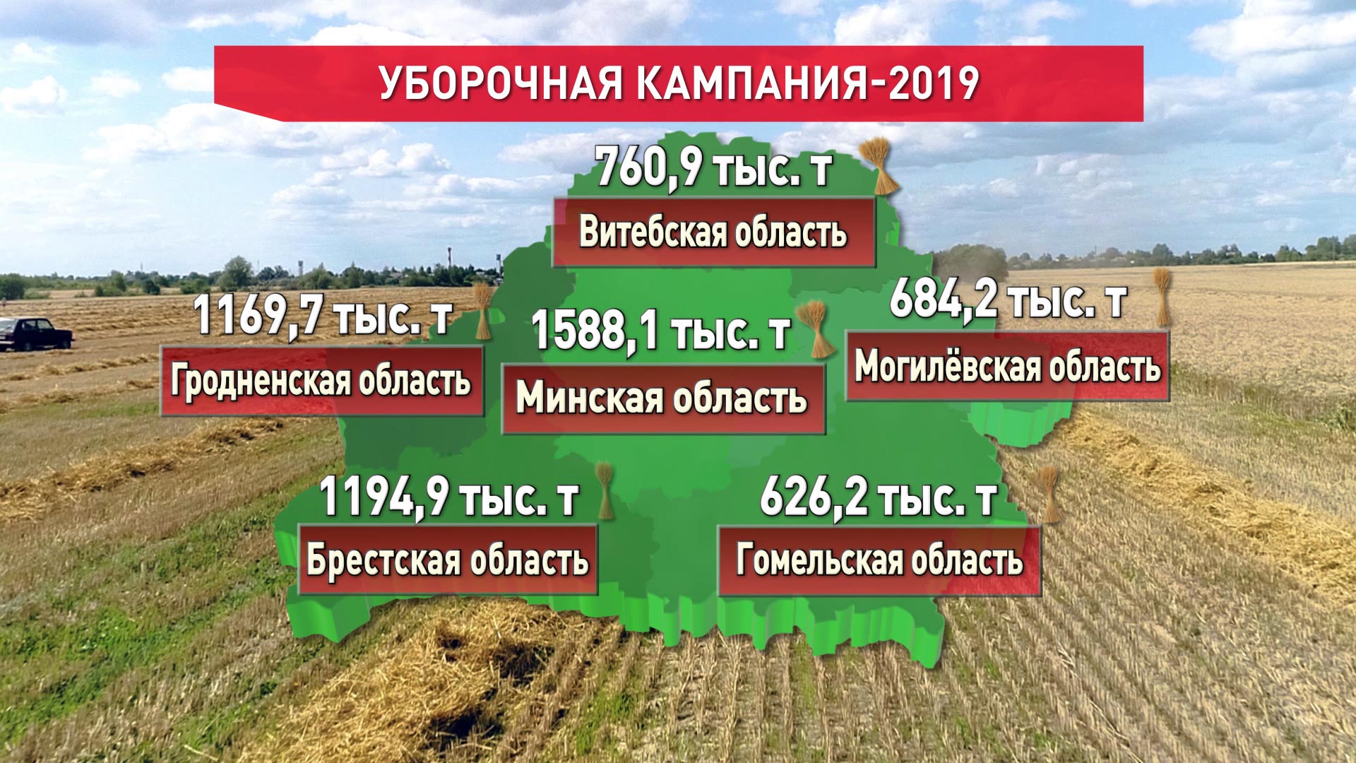 Польза и заработок. Более 200 студентов помогают в уборке яблок Толочинскому консервному заводу