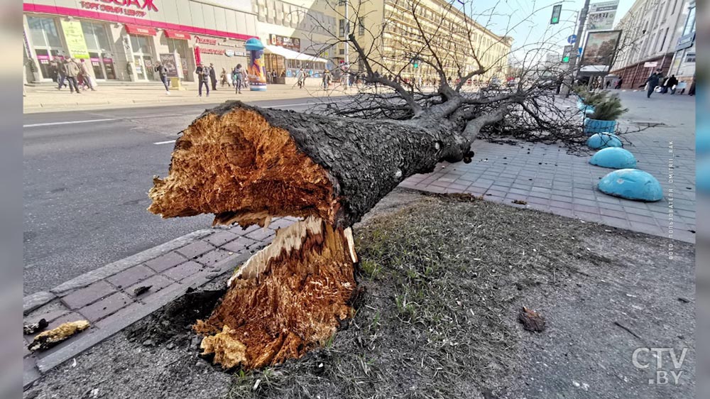 В Уручье сильный ветер сдул остановку -9