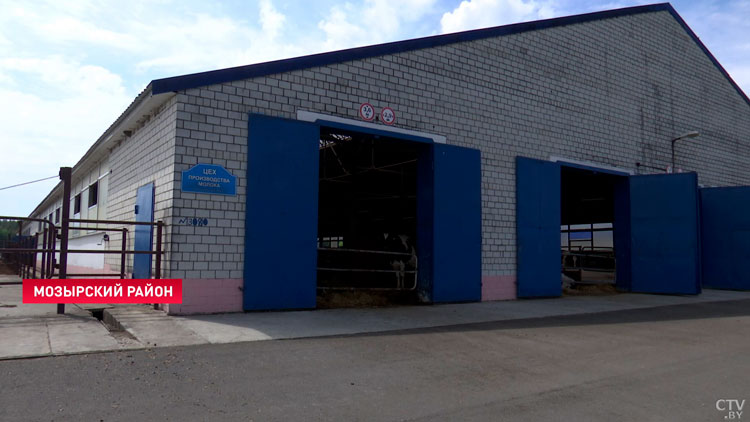 Это хозяйство вдохнуло жизнь в глубинку! В чём залог успеха мозырского предприятия?-4