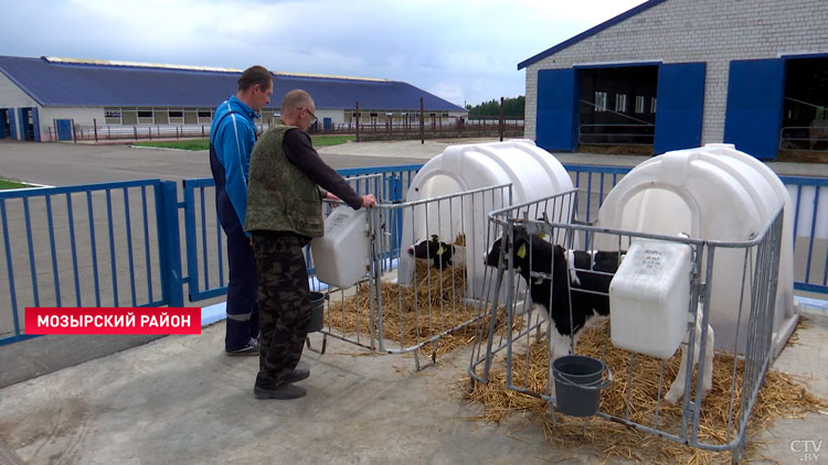 Это хозяйство вдохнуло жизнь в глубинку! В чём залог успеха мозырского предприятия?-10