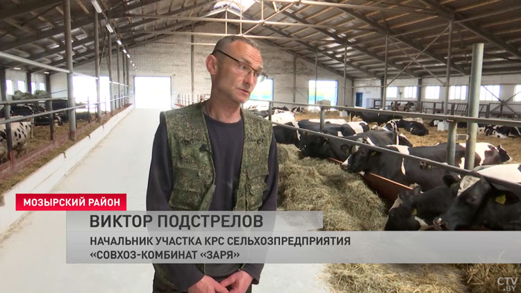Это хозяйство вдохнуло жизнь в глубинку! В чём залог успеха мозырского предприятия?-7