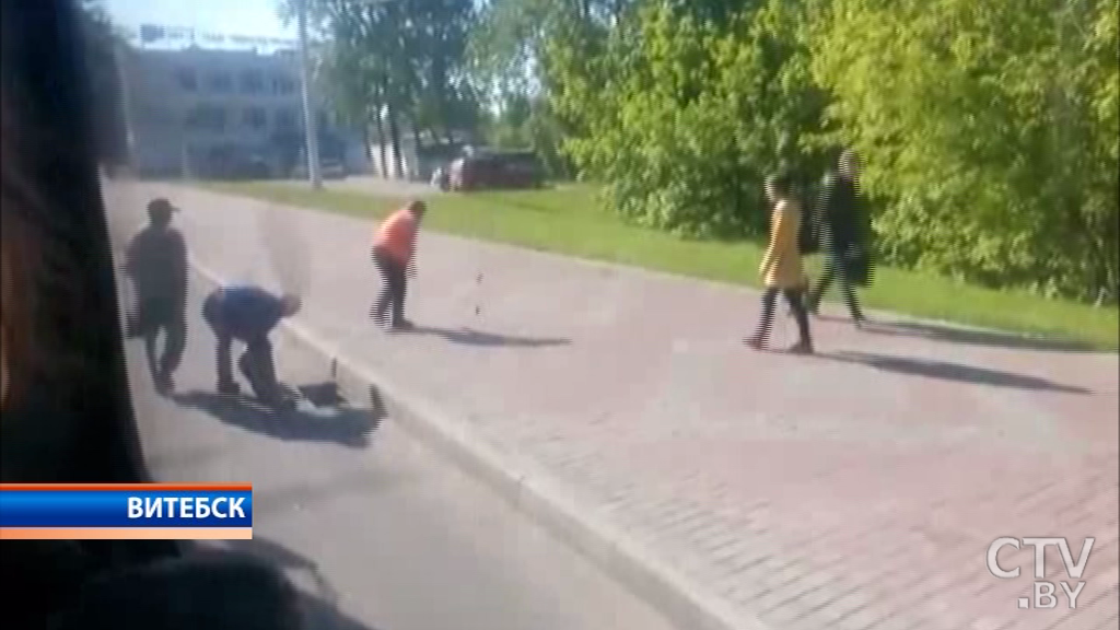 Утиные спасатели в Витебске: водитель троллейбуса вытащила из канализационного слива семейство уток-1