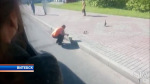 Утиные спасатели в Витебске: водитель троллейбуса вытащила из канализационного слива семейство уток