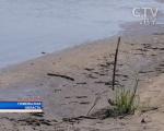 12-летняя девочка утонула в Светлогорском районе