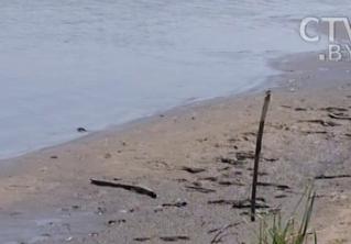 В Гродненском районе на озере Рыбница утонул 17-летний парень 