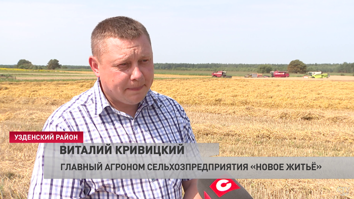 «Погода благоприятная». В каких хозяйствах Минской области уже вовсю идут «Дожинки»?-4