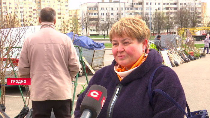 «Цены довольно-таки демократические». В Беларуси проходят сельскохозяйственные ярмарки-10