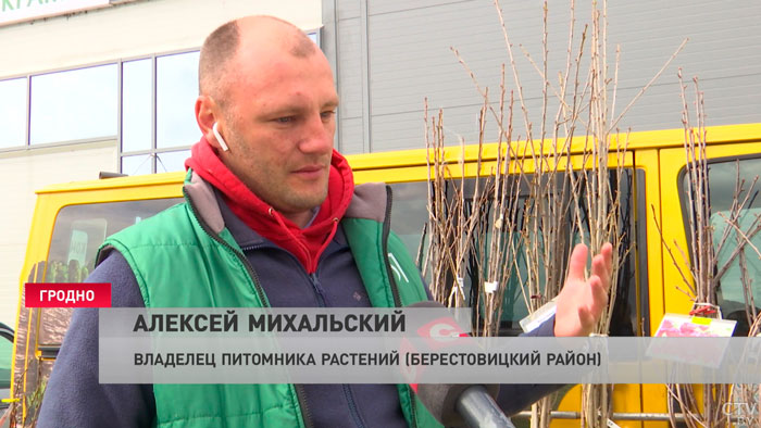 «Цены довольно-таки демократические». В Беларуси проходят сельскохозяйственные ярмарки-13