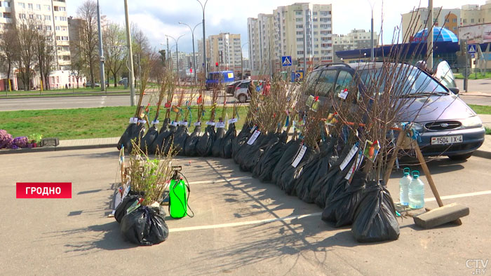 «Цены довольно-таки демократические». В Беларуси проходят сельскохозяйственные ярмарки-16