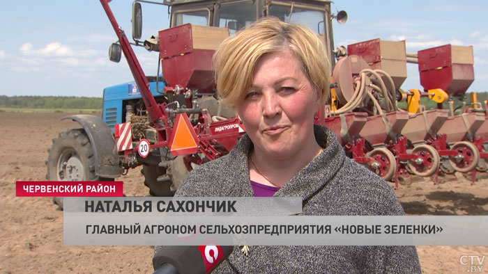 В Минской области кукуруза засеяна на 65 % от плана-4
