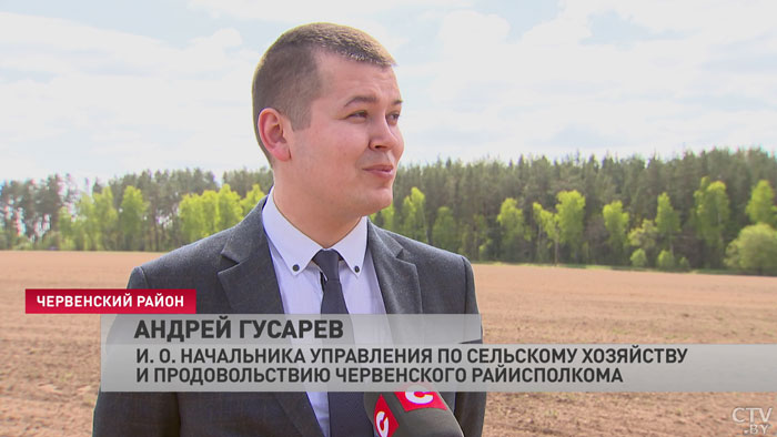 В Минской области кукуруза засеяна на 65 % от плана-7