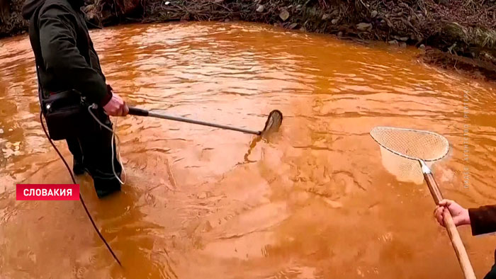 В Словакии река Слана стала оранжевой из-за попадания в воду отходов при добыче руды-1