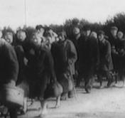 Внимание к трагедии геноцида белорусского народа. Под Брестом стартует проект «Историческая память» Внимание к трагедии геноцида белорусского народа. Под Брестом стартует проект «Историческая память»