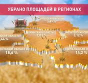 В Беларуси уже намолочено 650 тысяч тонн зерна. Какие регионы лидируют?