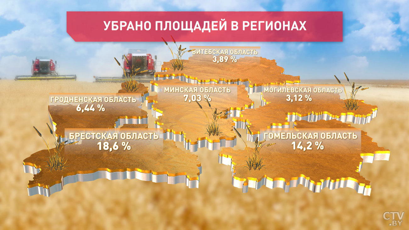 В Беларуси уже намолочено 650 тысяч тонн зерна. Какие регионы лидируют?-1