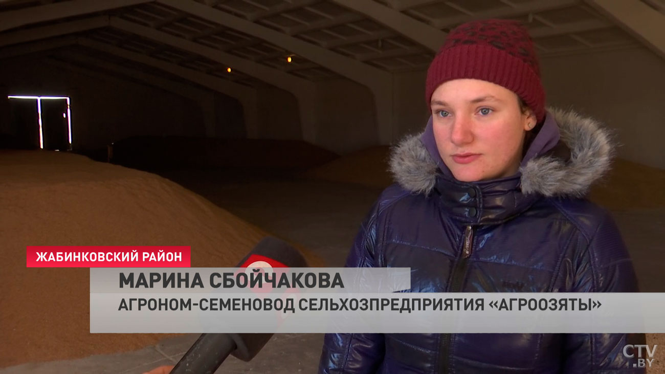 В Брестской области выборочно начали сев ранних яровых культур. Зачем хозяйства пошли на эксперимент с погодой?-7