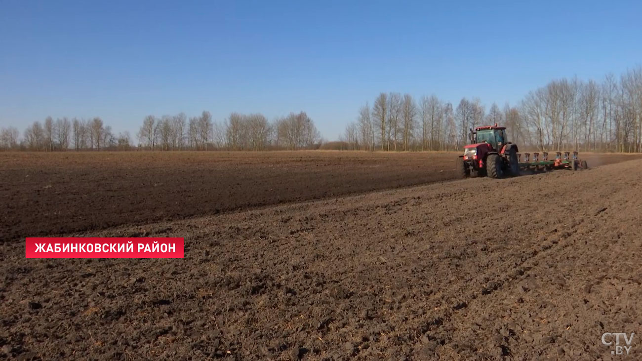 В Брестской области выборочно начали сев ранних яровых культур. Зачем хозяйства пошли на эксперимент с погодой?-1
