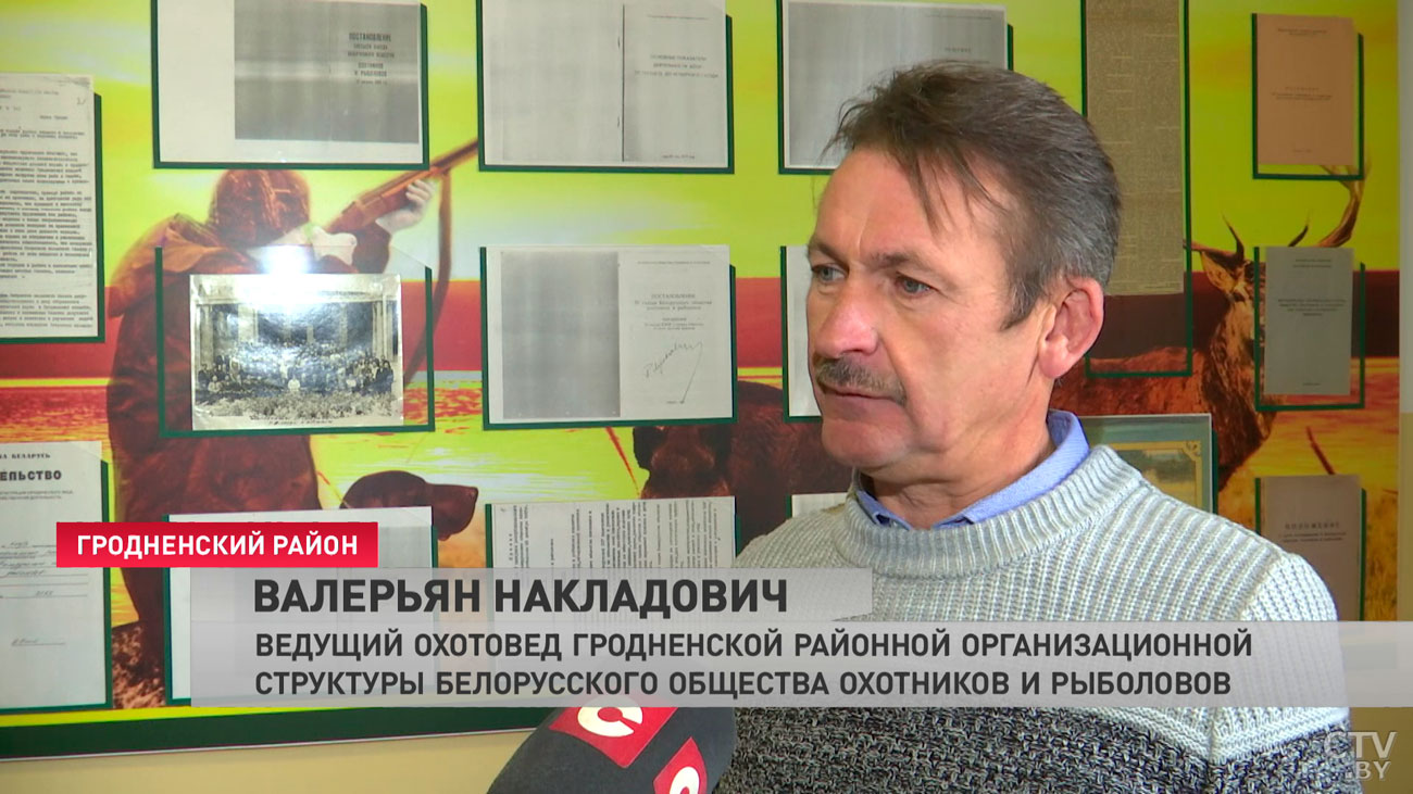 Отгрызает головы и выпивает кровь. Дикий зверь держит в страхе владельцев кур в деревне Гродненского района-28