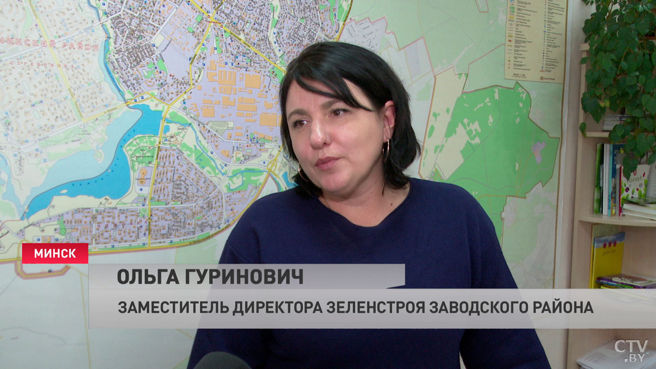 «Мы пытаемся переходить к более современным сейчас трендам». Как преобразят Заводской район Минска?-4