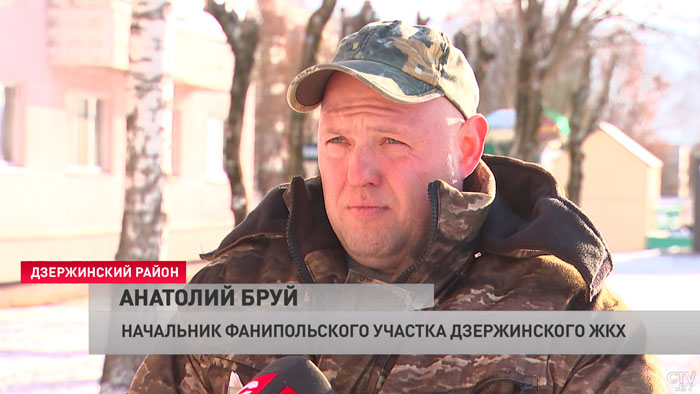 В Фаниполе у оживлённой трассы спиливают деревья. Обратились в ЖКХ и выяснили, что происходит-4