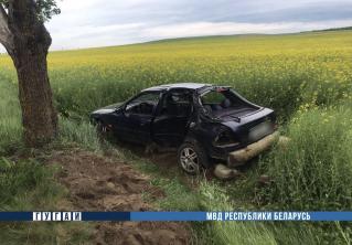 В Гродненской области нетрезвый бесправник за рулём Ford врезался в дерево