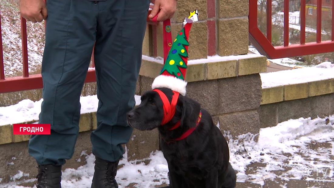 В Гродно зажгли самую необычную ёлку страны. Ею стала 33-метровая пожарная каланча-16 В Гродно зажгли самую необычную ёлку страны. Ею стала 33-метровая пожарная каланча-16