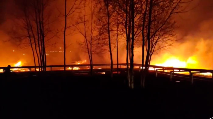 В Минске горел тепличный комбинат. Подробности ЧП