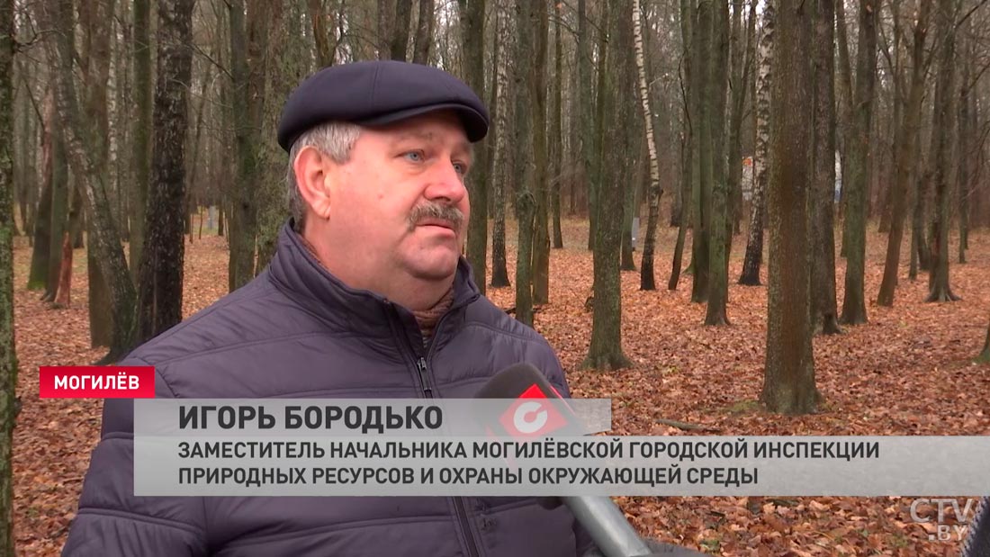 Печерский лесопарк в Могилёве получит статус особо охраняемой территории. Что изменится?-4