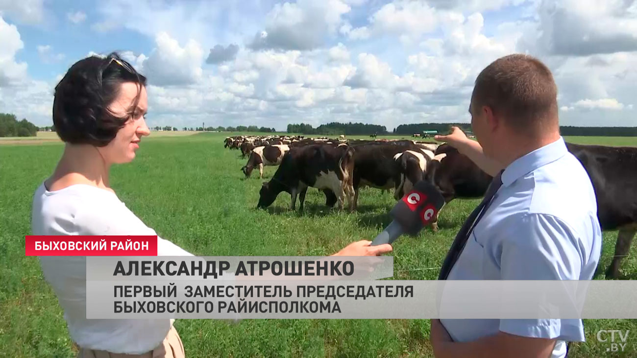 На поле с 6 утра, и это не рекорд. Узнали, как идёт укос трав в Могилёвской области-19