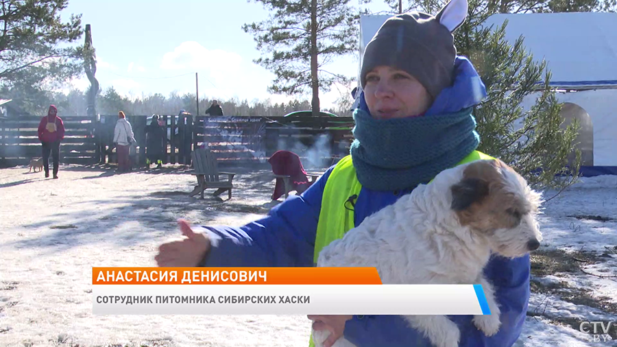 Эти собаки станут настоящим антистрессом и няней для ребёнка. Почему стоит побывать в питомнике сибирских хаски?-19