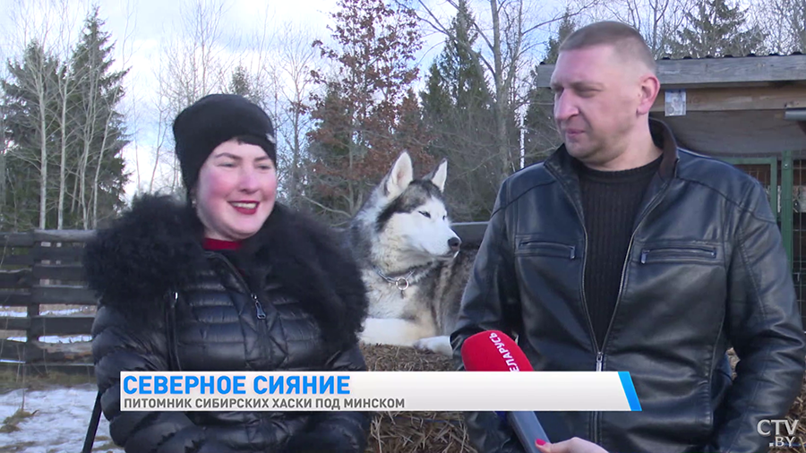 Эти собаки станут настоящим антистрессом и няней для ребёнка. Почему стоит побывать в питомнике сибирских хаски?-37