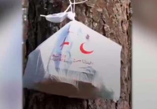 В Польше активисты развешивают пакеты с едой и водой на деревьях, чтобы помочь беженцам