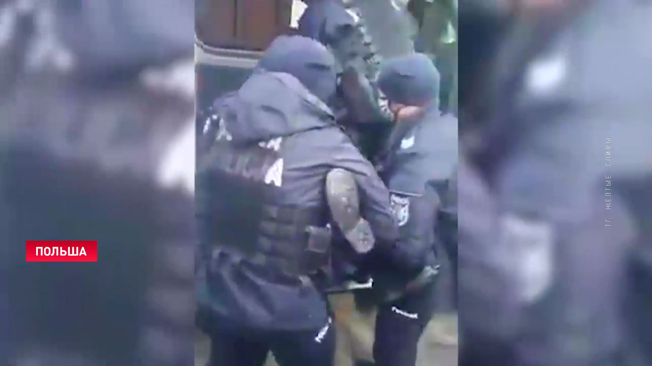 В Польше избили протестующих, которые вышли на митинг в защиту беженцев-4