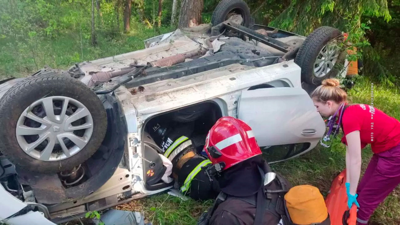 В Пуховичском районе 66-летний водитель въехал в дерево и скончался на месте