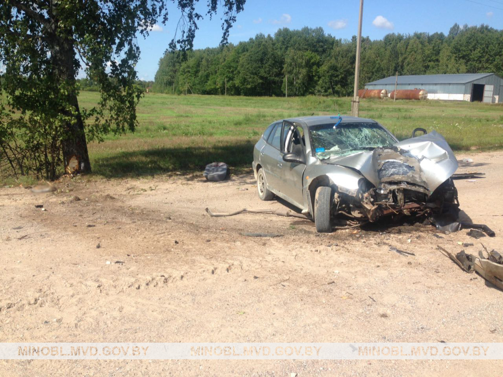 В Пуховичском районе иномарка врезалась в дерево. Погибли водитель и пассажирка -7