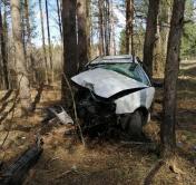В Речицком районе нетрезвая бесправница на Volkswagen врезалась в дерево