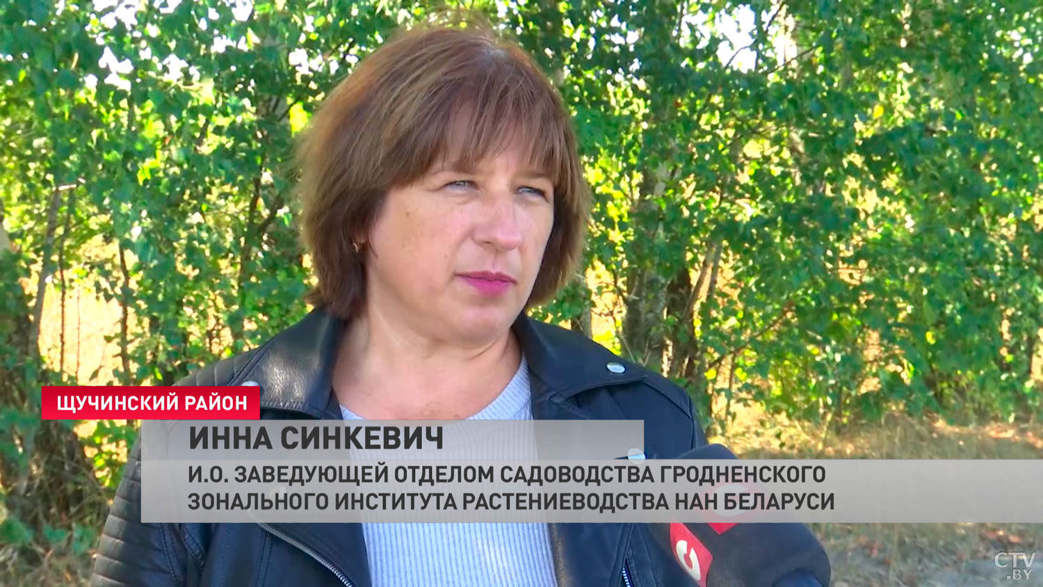 Арбузы, привитые на дикую тыкву. Вот результат необычного эксперимента-7