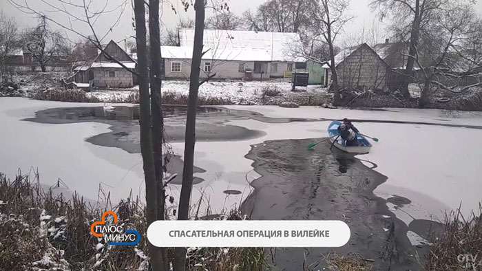 В Вилейке спасли раненого лебедя. Его ждала неминуемая гибель-1
