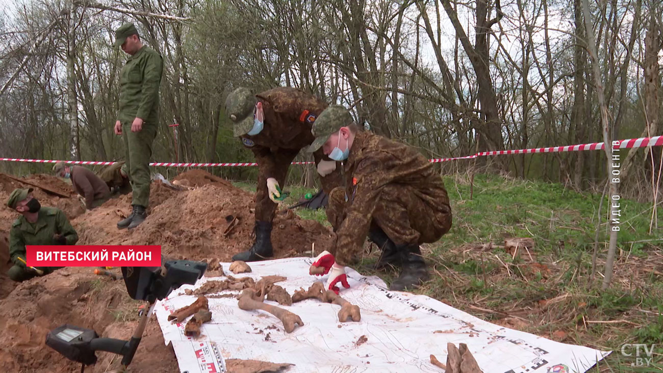 Уже нашли более 70 останков советских воинов. В Витебском районе начались поисковые работы на местах боёв ВОВ-1