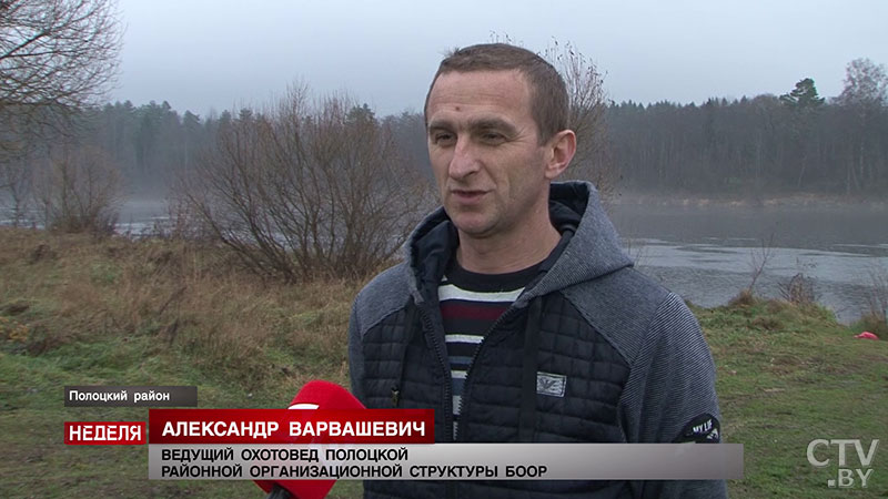 Почему белорусская рыба не уступает норвежской, и как зарыбляют водоёмы в стране?-7