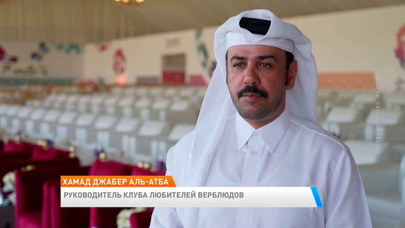 Победитель получит 55 тысяч долларов. В Катаре проводят конкурс красоты среди верблюдов-8