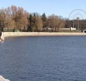 +15°C. Синоптики рассказали о погоде на выходные 