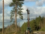 Из-за сильного ветра на 19 февраля в Беларуси объявлен оранжевый уровень опасности