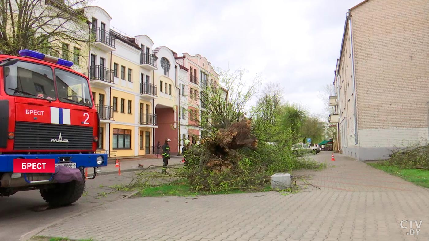 Не больше +15. В Беларусь пришёл холодный циклон Даниэль-1